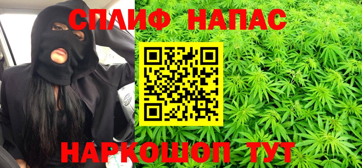 Канабис Bruce Banner Елабуга